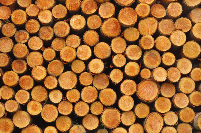 Vente de stère de bois